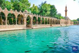 Zirve Ambar ile Şanlıurfa'da Hızlı ve Güvenli Nakliyat