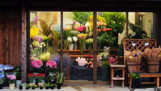 Merzifon Amasya Çiçekçi